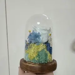 Tsight プリザーブドフラワー ガラスドーム ブルー系 - メルカリ