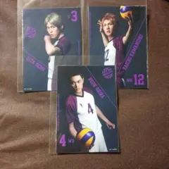 ハイキュー!! ハイステ 白鳥沢 瀬見英太 川西太一 大平獅音 ブロマイド