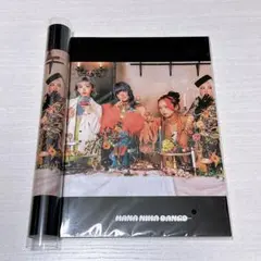 HANA B2 B1サイズ　ポスター　2枚組 HANA ポスター B2サイズ・B1サイズセット - メルカリ