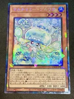 2026年最新】マルチャミー・プルリア レアの人気アイテム - メルカリ