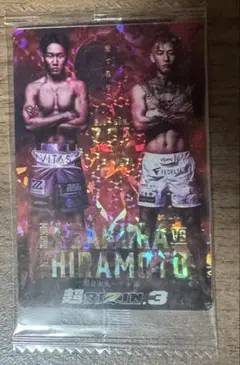 朝倉未来　平本蓮　アクリルスタンド　RIZIN クレマス　限定❗️ 朝倉未来 平本蓮 アクリルスタンド RIZIN クレマス 限定