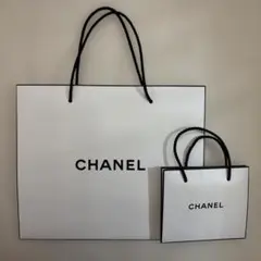 CHANEL ショップ袋 大小セット