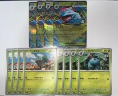 ポケモンカード メガフシギバナ進化ライン