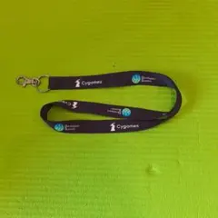 Cygames Developers Summit ストラップ 約43cm