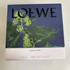 ロエベ キャンドル スモール コリアンダー 新品 LOEWE - ロエベ キャンドル スモール コリアンダー 新品の通販 by