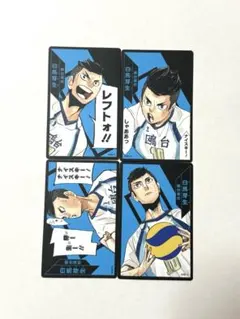 ハイキュー ボードゲーム ボドゲ 白馬芽生