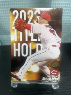 【2024年】プロ野球チップス 広島東洋カープ カードセット