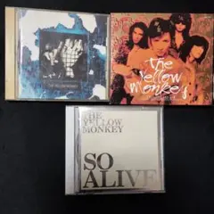 THE YELLOW MONKEY CDセット THE YELLOW MONKEY . 吉井和哉 CDセット オマケ付き - メルカリ