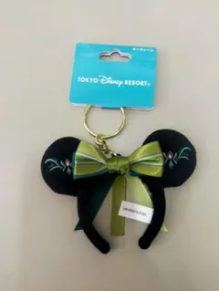 【東京ディズニーリゾート♪】 キーチェーン アナと雪の女王のサムネイル