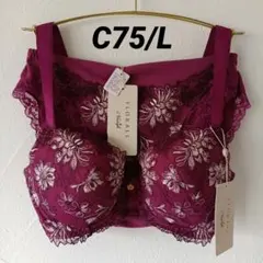 ③　C75/L　トリンプ　プリムラの花　フロラーレ　ワインレッド　413