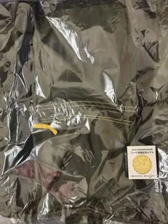 阪神タイガース 2026年