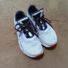 Item thumbnail for item 4ade61ac-afec-4d7d-829c-8eaa4a074ccf