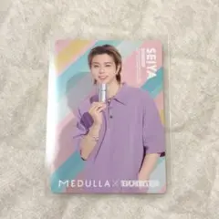 MEDULLA BUDDiiS ヘアカルテカード　SEIYA