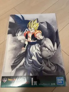 激レア】ドラゴンボールZ バーダック ＆ フリーザ ビジュアル色紙 鳥山