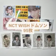 nct wish ドムソン　韓国作家　95枚