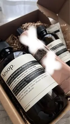 新品✨》Aesopハンドウォッシュ500ml&トイレ用消臭・芳香剤100mI