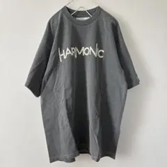 ジャーナルスタンダードラックス HARI ロゴ刺繍 Tシャツ ブルー - メルカリ