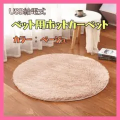 Item thumbnail for item b89927a1-f69b-4304-b2df-a5c5795de69c