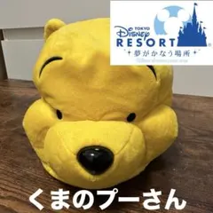 公式 ディズニーリゾート くまのプーさん ファンキャップ 50cm 被り物 帽子