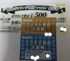 即購入のみ対応【株主優待券】 ラウンドワン 株主優待券 プラチナ会員 割引券 ラウンドワン 株主優待2024(年4回) 優待券の使い方(ボウリング