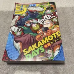 週刊少年ジャンプ 2001年 33号 ONE PIECE表紙 - メルカリ