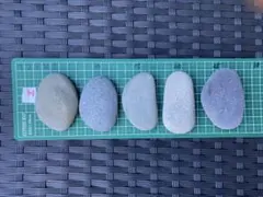 Item thumbnail for item 04bd856c-52c0-43ae-ac4c-38e26968c69d