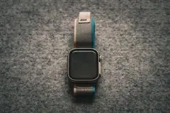 Item thumbnail for item 3efd43b8-8cd2-456a-a8db-5551ff504cbf