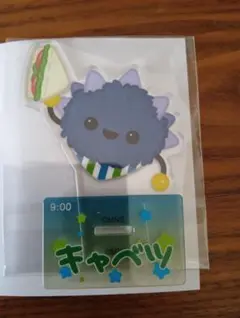 教育番組　キャベツ