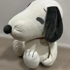 2025年最新】SNOOPY 健康管理・計測計の人気アイテム - メルカリ