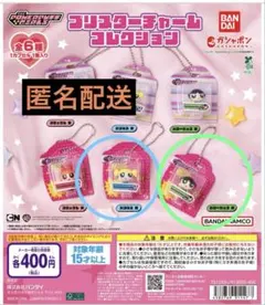 パワーパフ ガールズ ブリスターチャーム コレクション　2点