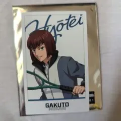 【匿名配送】新テニスの王子様 ポラショット 向日岳人 ②