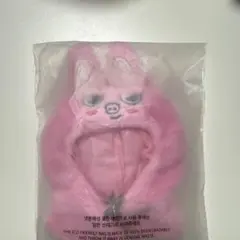 StrayKids チャンビン Changbin 10cm ペンミ　トゥエッキ