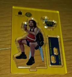 ブレックス　渡邉選手アクスタ