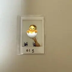 ONEUSイドポラロイド