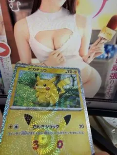 【即発送】ピカチュウ　なんごくきぶん　股間ホロ