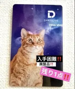 2026年最新】激レア DARTSLIVEの人気アイテム - メルカリ