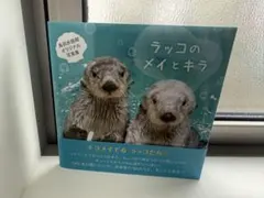 2025年最新】ラッコのメイ 写真集の人気アイテム - メルカリ