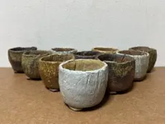 信楽焼　手作り　3号　小品盆栽　山野草　多肉植物　アロエ　アガベ