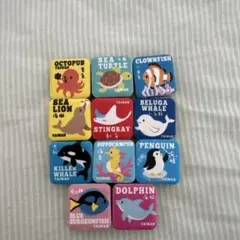 海の生き物 知育玩具 英語　中国語　マグネット　セット