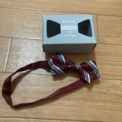 BREEZE 蝶ネクタイ バーガンディ ストライプ　キッズ
