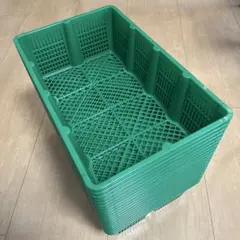 プラスチック　オクラカゴ　農業用コンテナ20枚セット　グリーン
