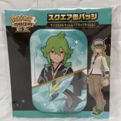 ポケモン N フィギュア アクリルスタンド ぬいぐるみ まとめ売り ポケモンシルバーぬいぐるみ アクリルスタンドまとめ売り - メルカリ