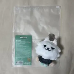 新品未使用 TXT PLUSH KEYRING 初期 チェヨンモン スビン