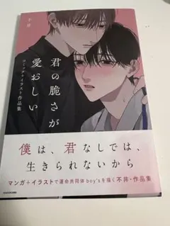 君の脆さが愛おしい 不井 作品集