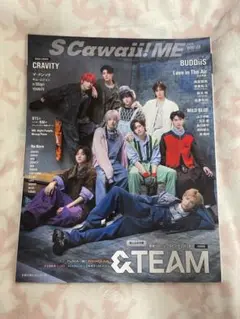 S Cawaii! ME 2024 WINTER（※応募券なし）
