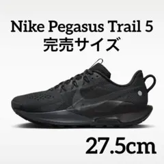 S*I様 完売サイズ【極美品】27.5cm ナイキ ペガサストレイル 5 付属品