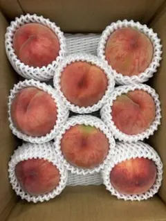 山形の桃「あかつき」2.1kg(箱込み)8玉のサムネイル