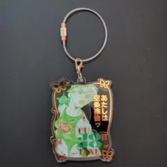 ジョジョの奇妙な冒険 ワイヤーキーホルダー 空条徐倫