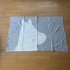【定価1万】【SOGO購入】綿100％　ブランケット　ムーミン柄