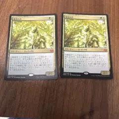 RAY様 リクエスト 2点 まとめ商品